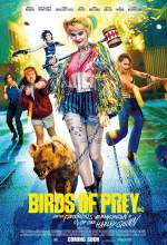 Birds of Prey 2020 Dual Audio Hindi 480p BluRay 300MB Mp4Moviez