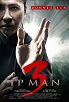 Ip Man 3 2015 Hindi Dubbed  480p 720p Mp4Moviez