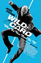 Wild Card 2015 Hindi Dubbed 480p 720p Mp4Moviez